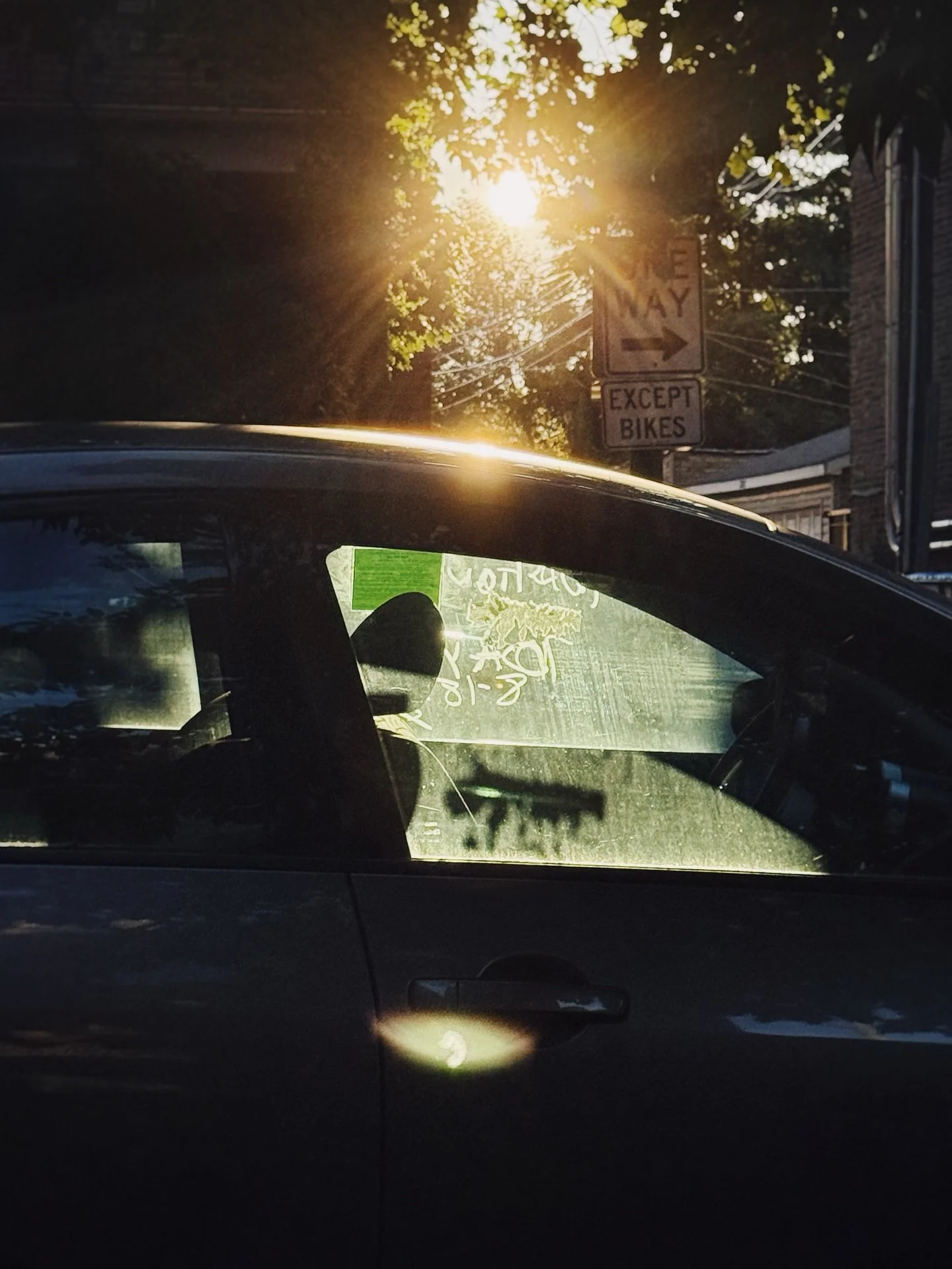 . . . Last glimpse of summer light . . . 

#chicagostreetphotography #photoaday #landscapephotomag #femalephotographer