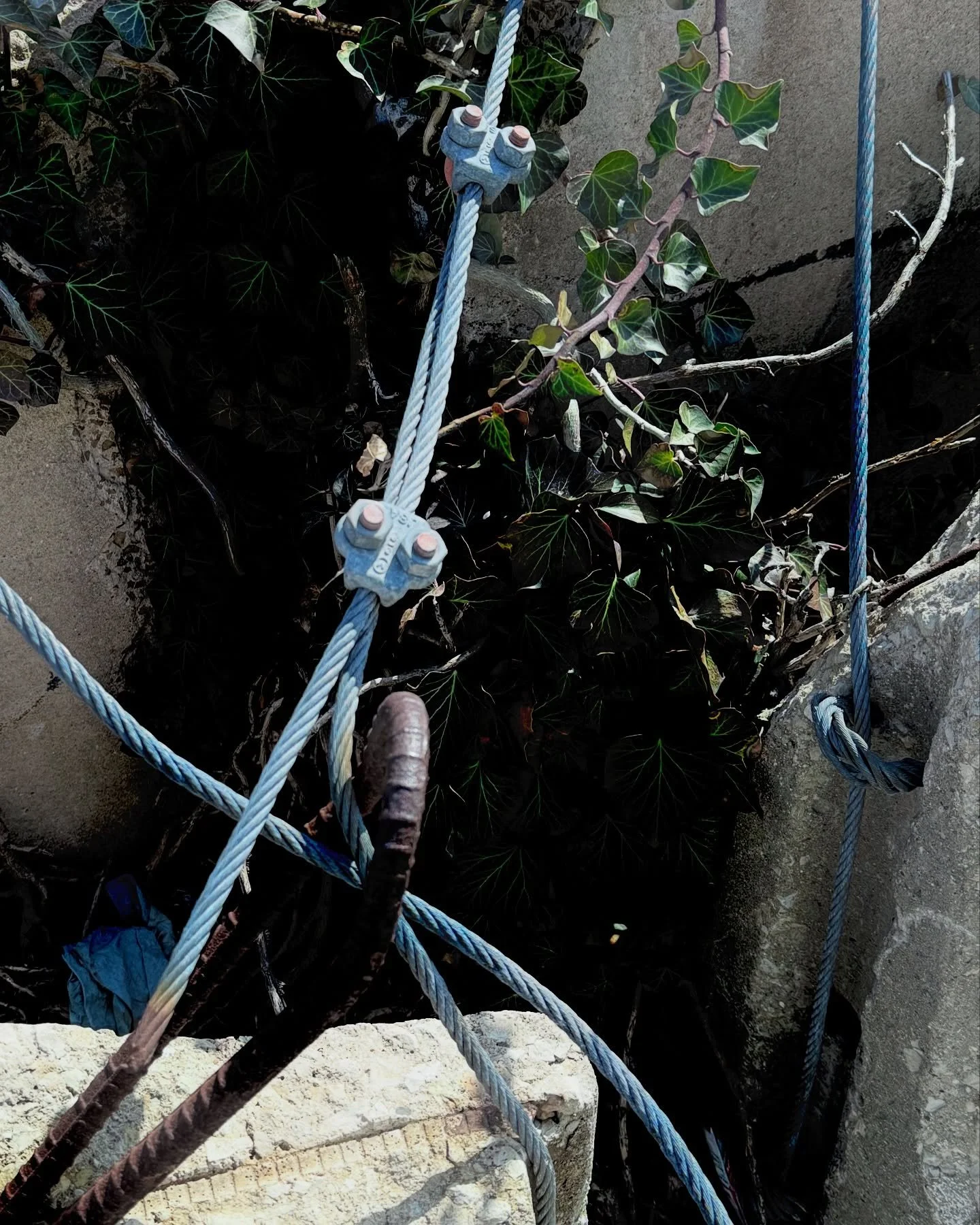 . . 50 points &hellip;

#chicagophotographer #streetfilm