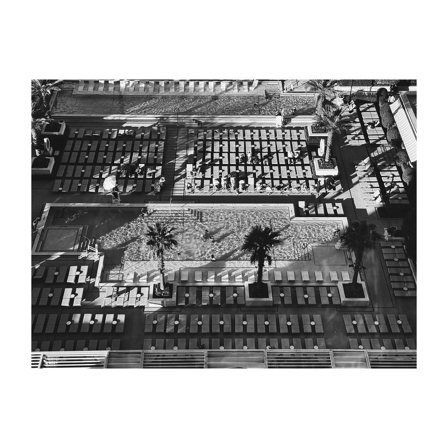 . . . Who the fuck knows . . . 

#blackandwhite #womenphotographers #photography