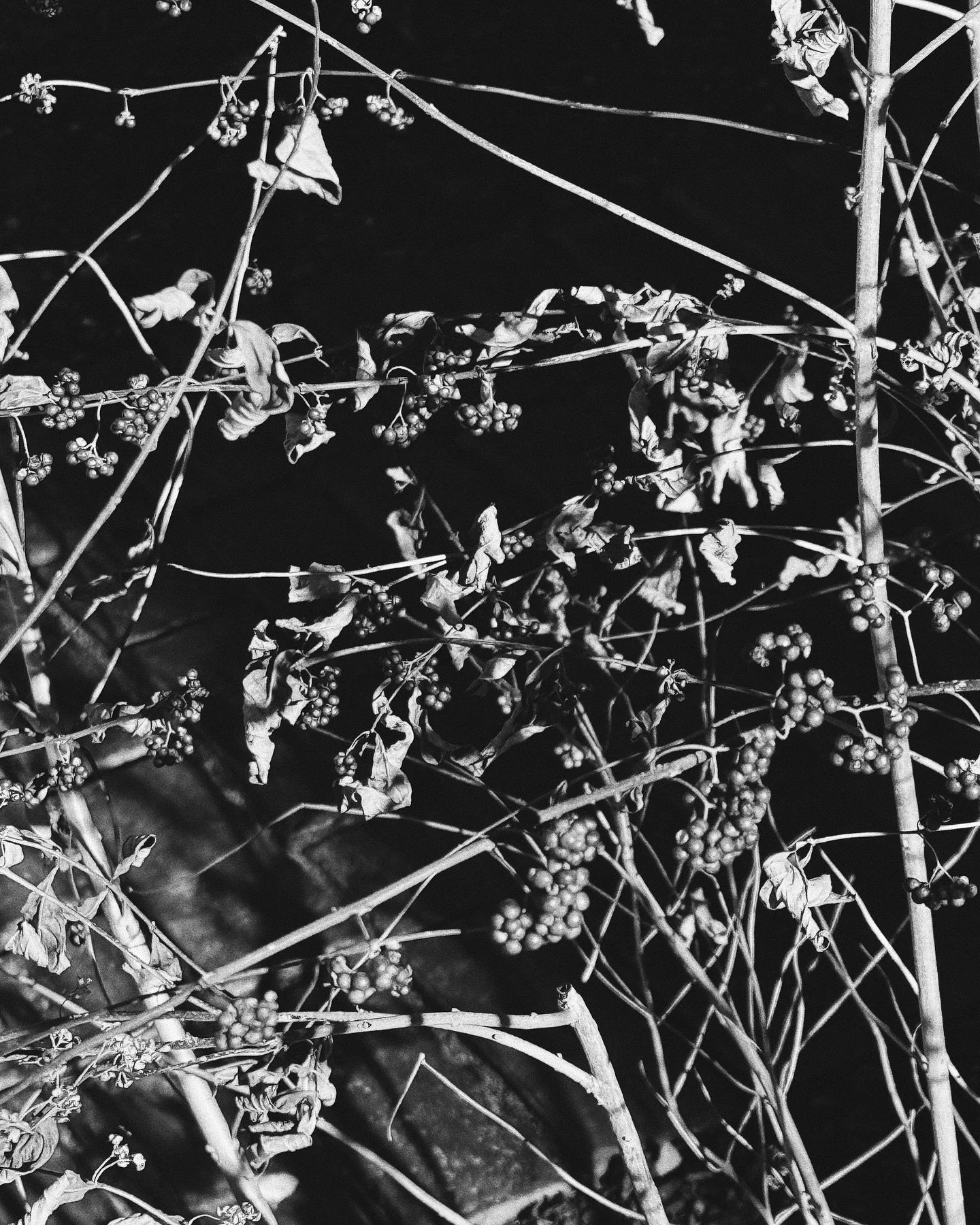 . . . . 

#35mm #ilfordhp5