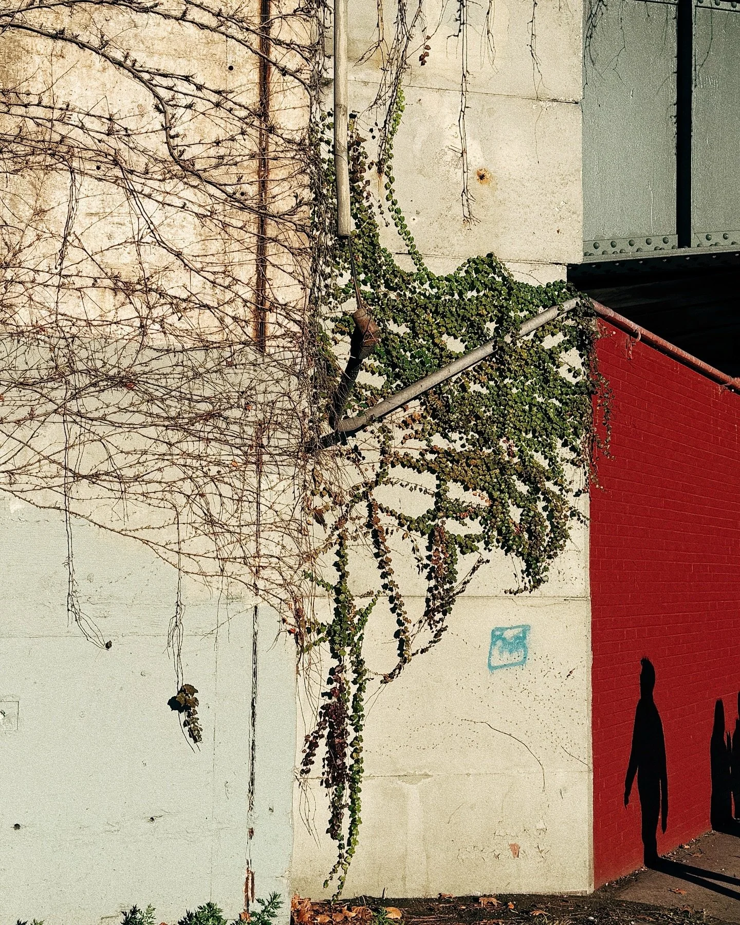 . . . .
#womenphotographers #35mmstreetphotography