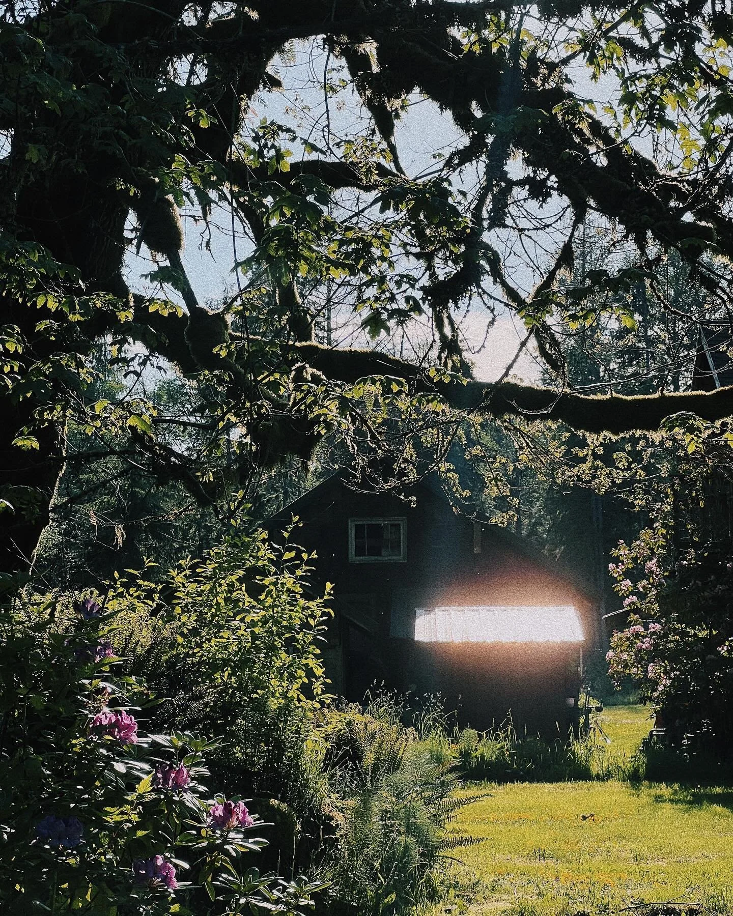 . . . PNW in #kodakportra400 . . .