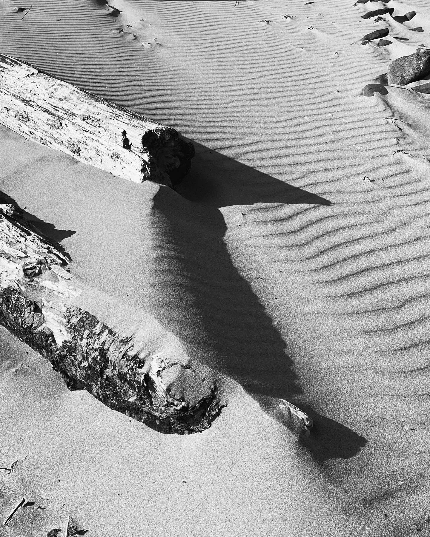 . . . Beautiful way to start this summer - Roadtrip through the Pacific Northwest 🏔️ 📸 more images to come . . . #35mm #olympicnationalpark #mtrainier