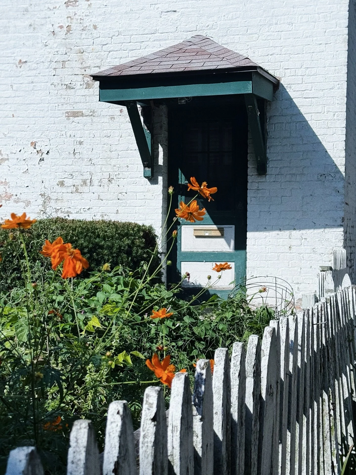 . . . Autumn 🍁 . . . 

#photoaday #portra400 #womenphotographers