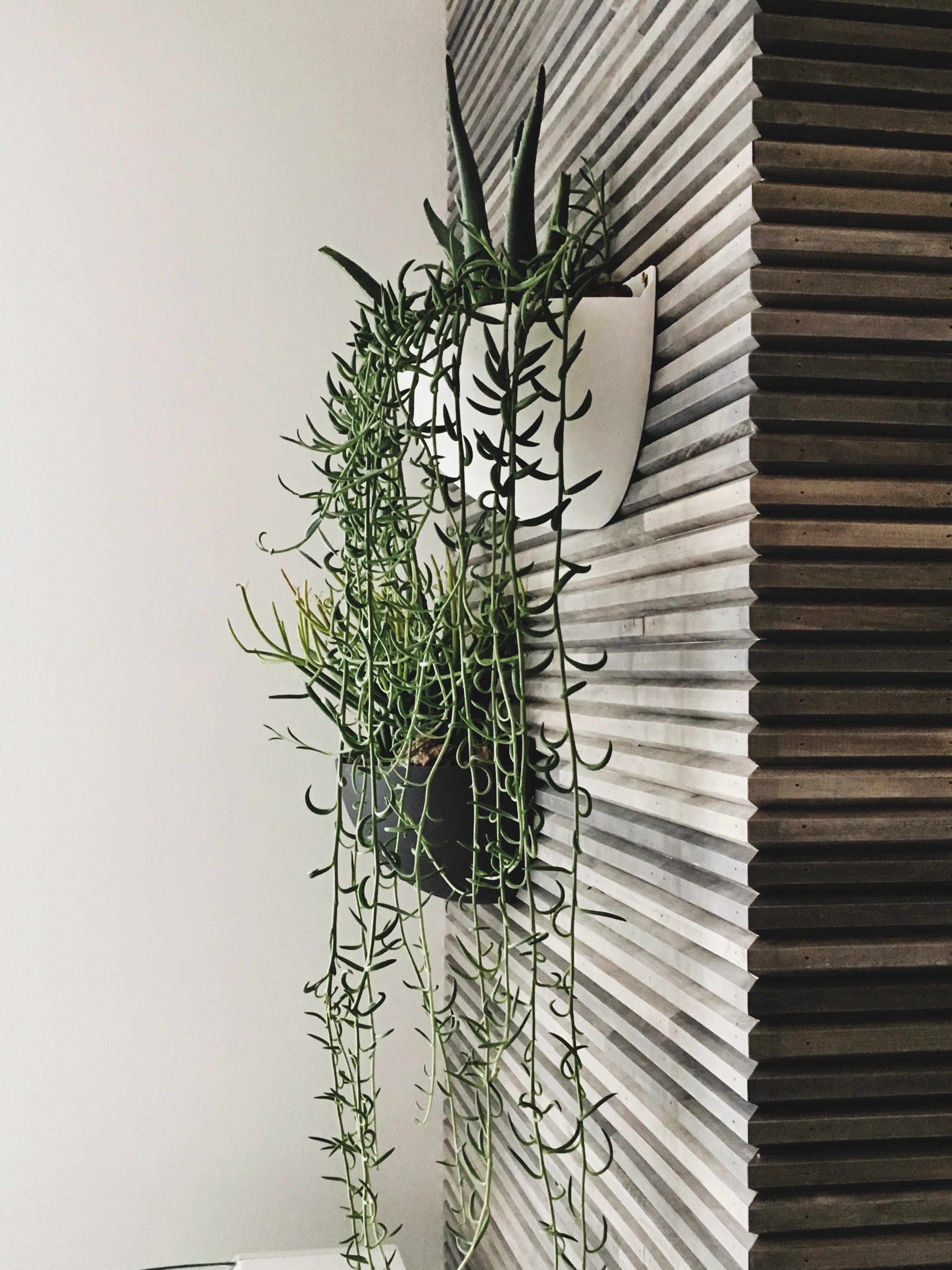 brass smoothies wall texture wood design