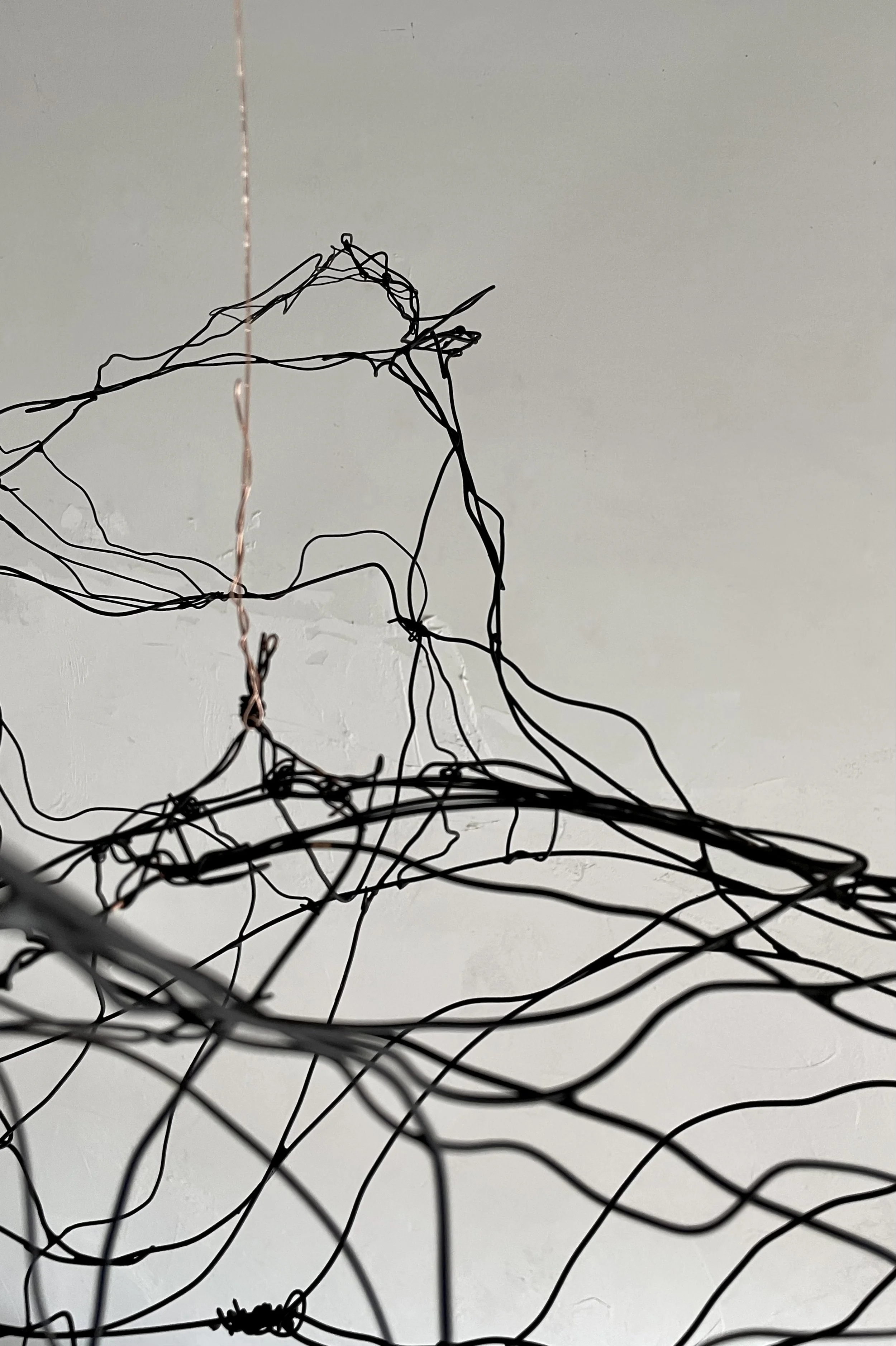 A detail shot of a wire sculpture / hanging mobile of geese that was created for a restaurant.