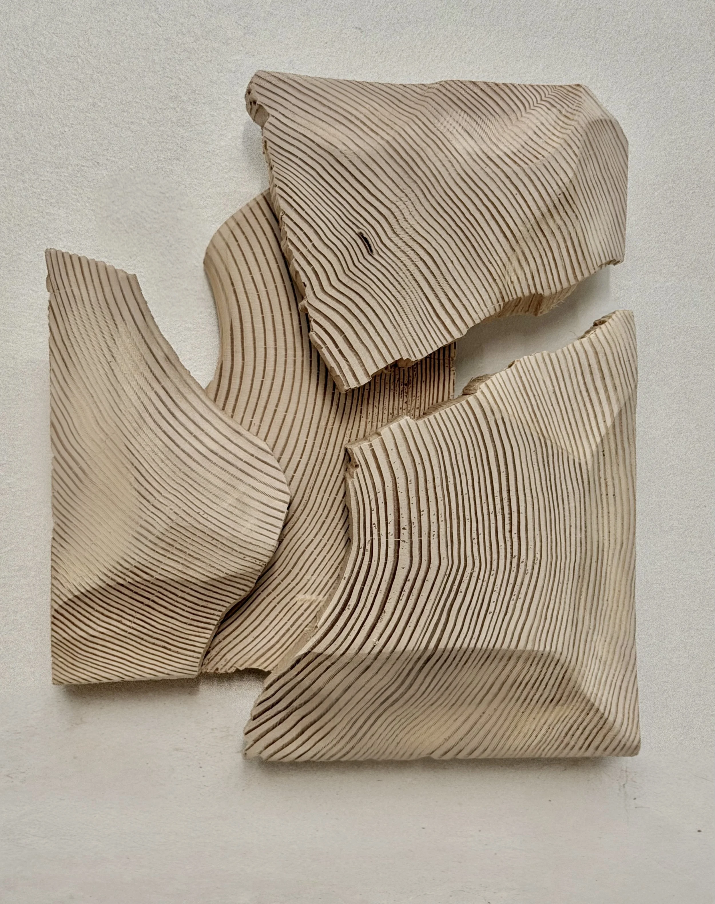 DetailShotTriWoodWall.jpeg