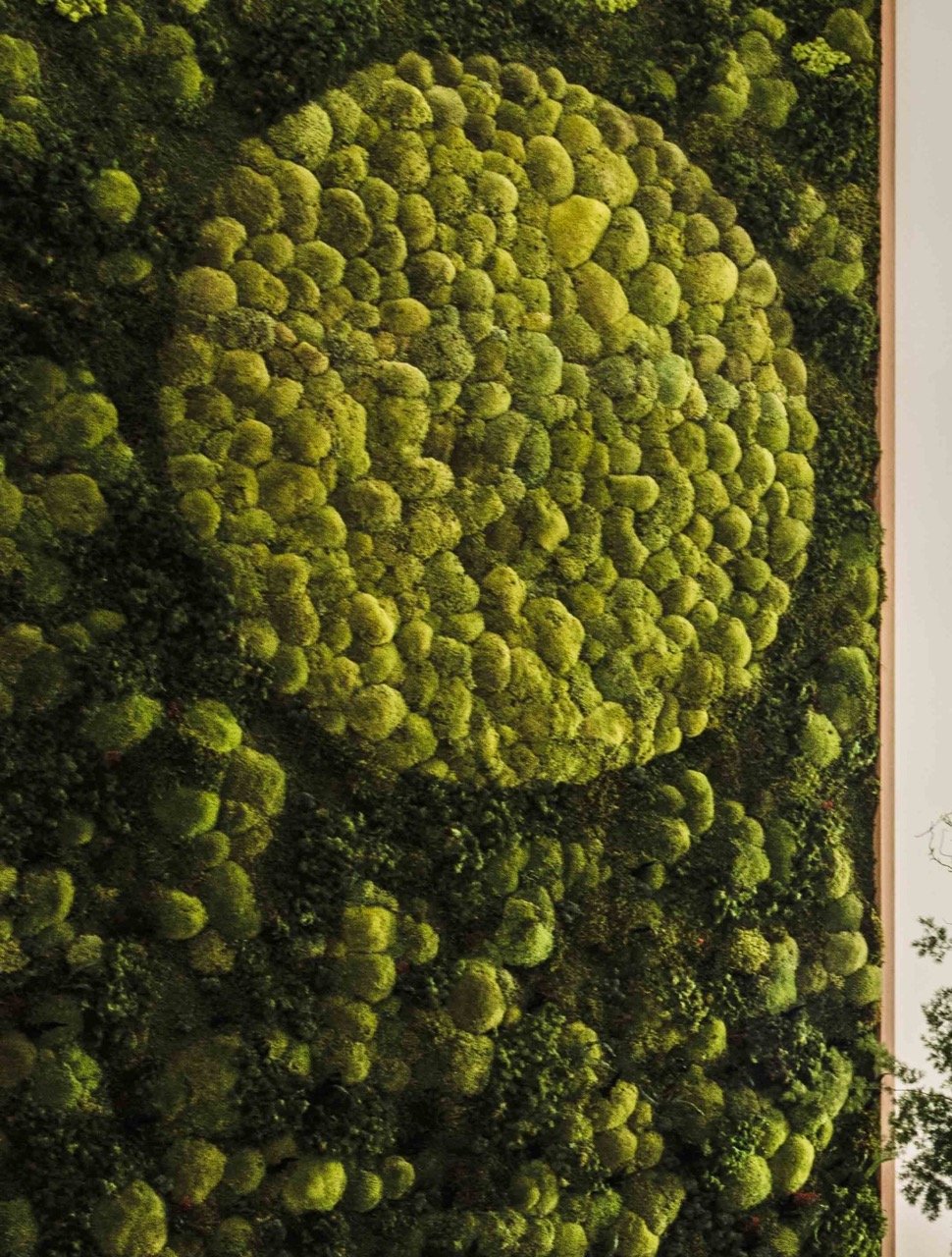 Green wall design by Miriam Frowein