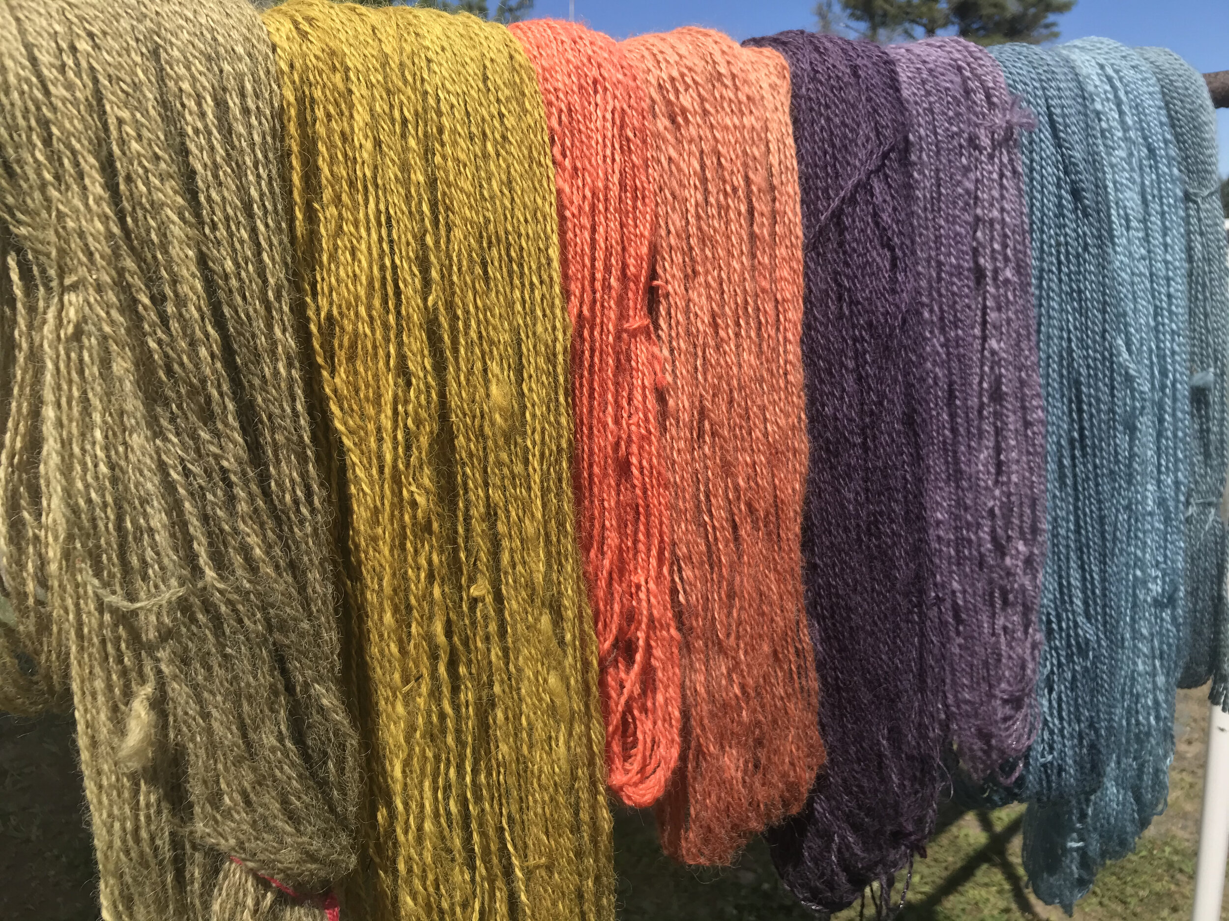 dyed yarn.jpg