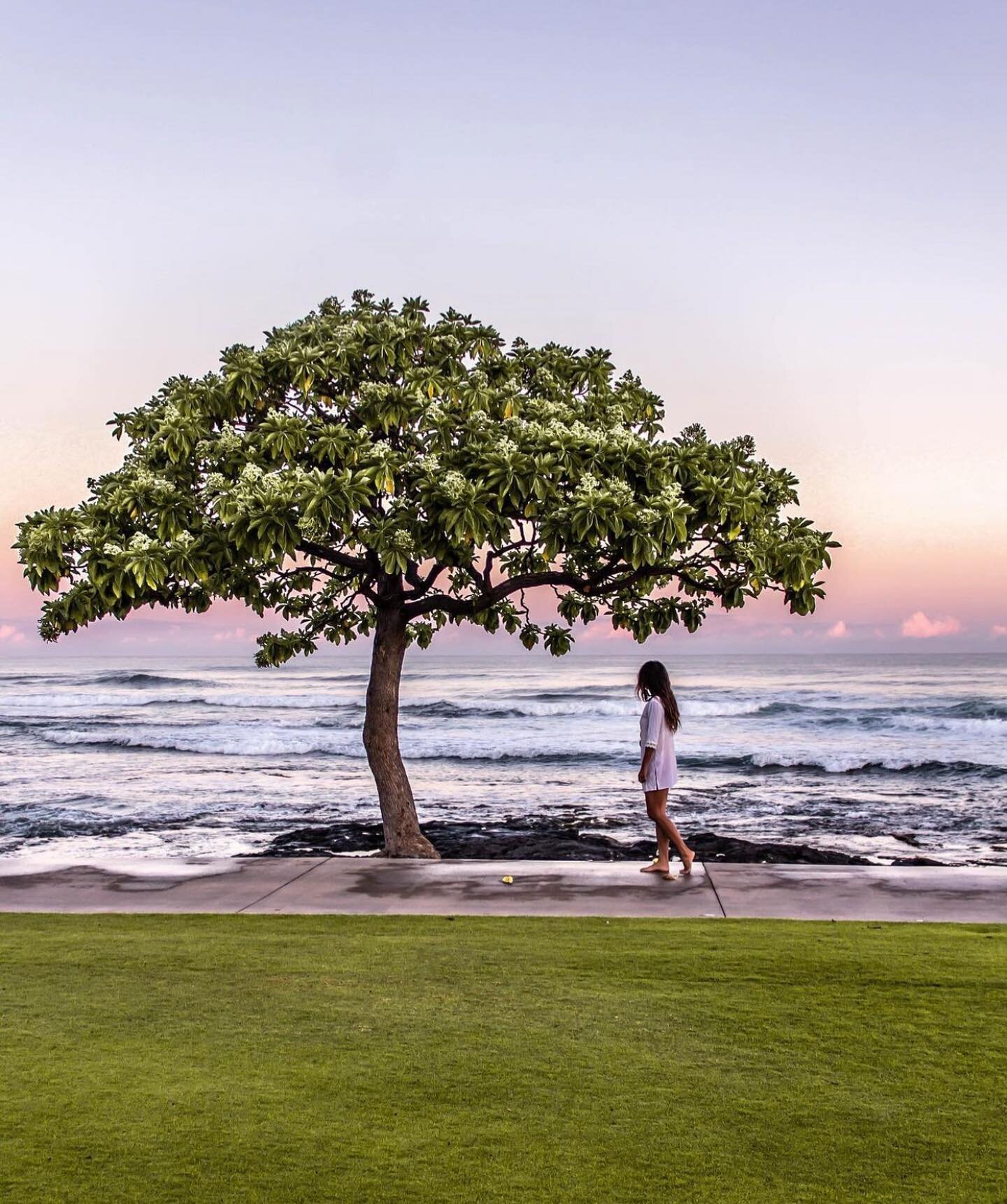 if you know, you know 🌳 
the magic that is @fshualalai 

pc: @anotherwriter @marcy_yu