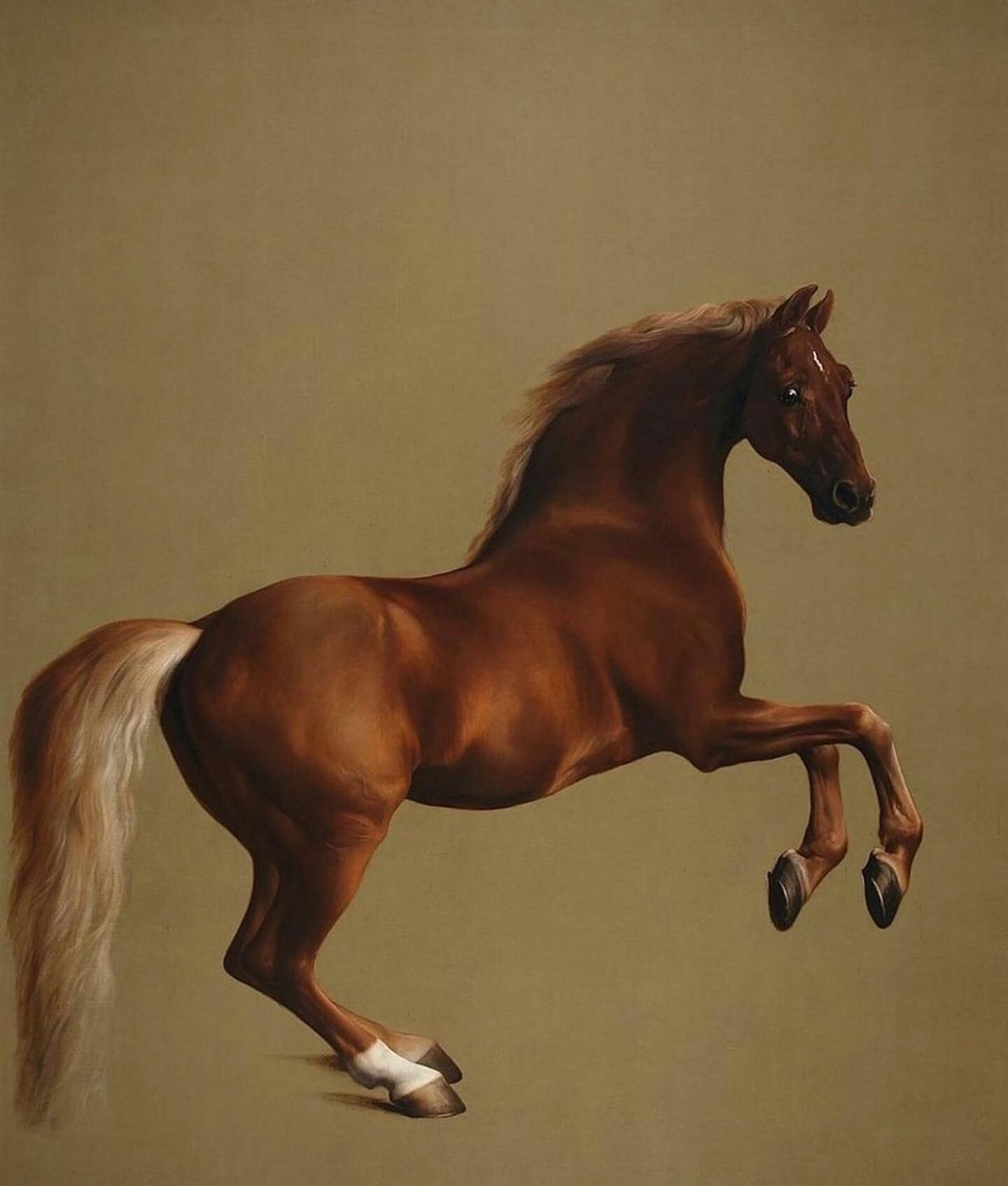 Whistlejacket, by George Stubbs. 
 
What art have you been inspired by recently?