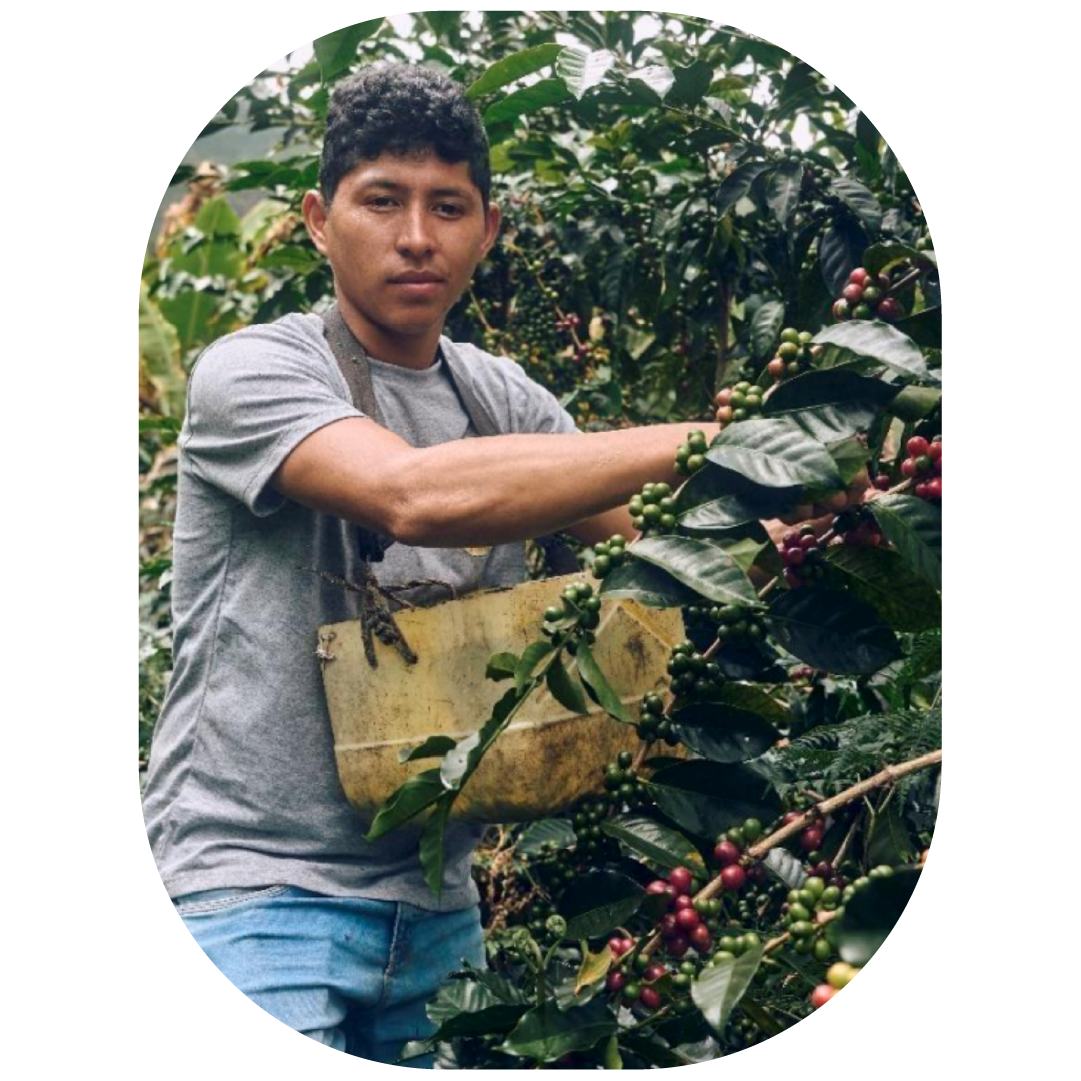 don vasquez image oval.png