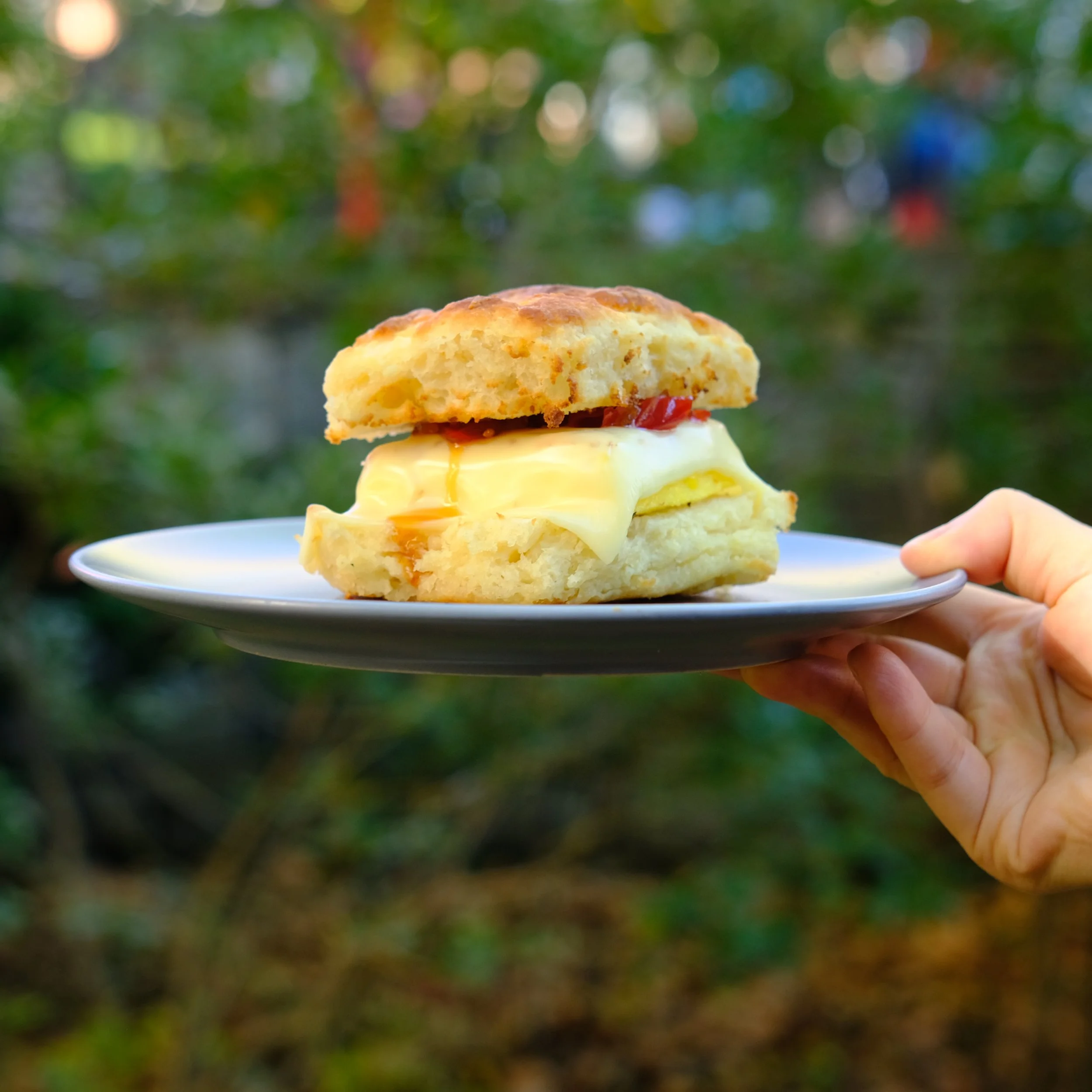 Bolt Coffee Co. Buy Online or Visit our Cafes