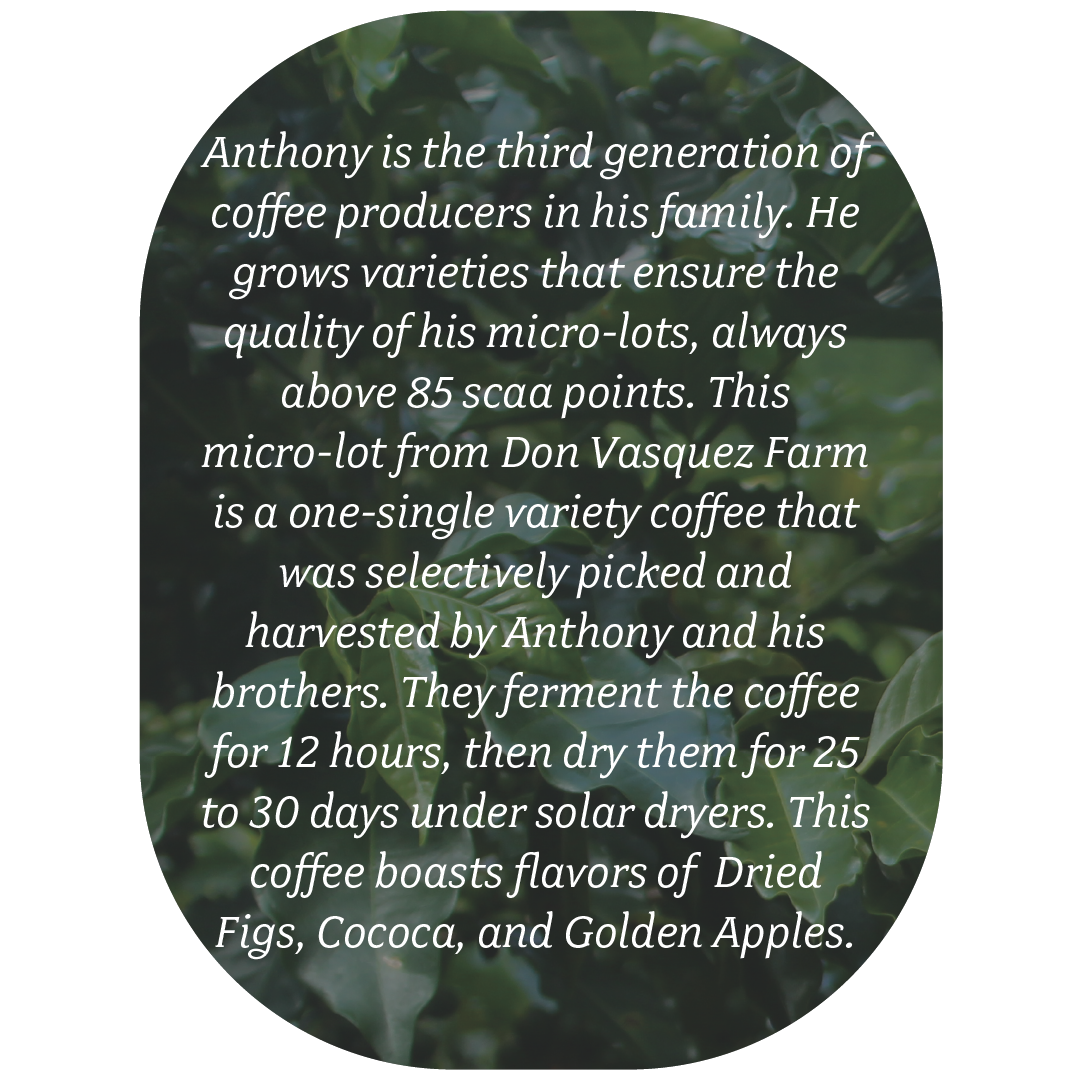 don vasquez oval text.png