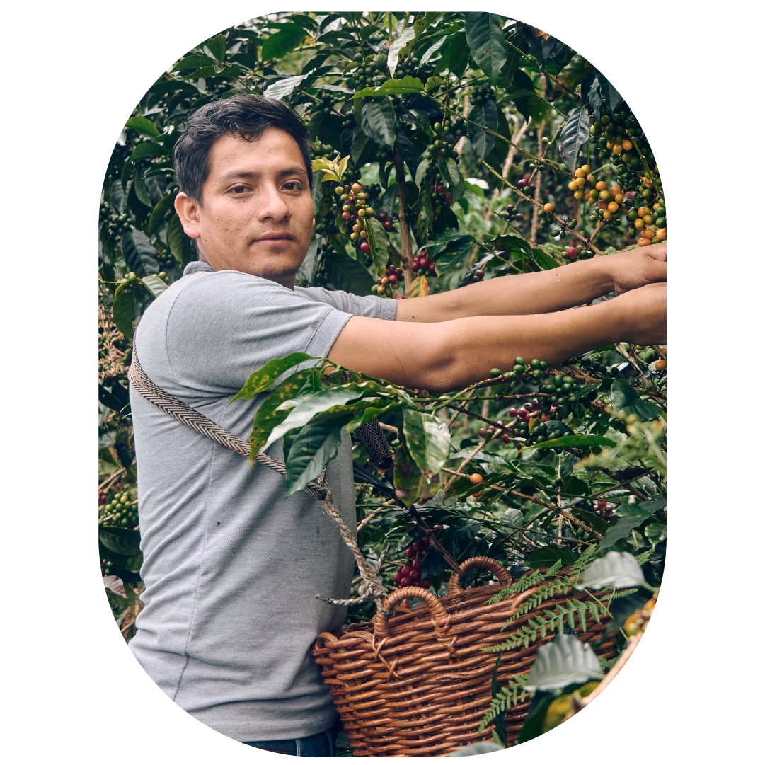 el morito producer oval.png