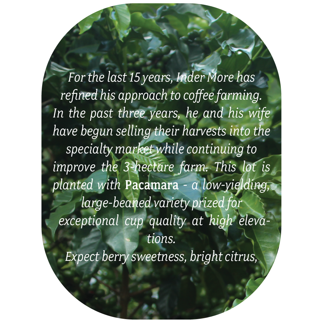 La SIRRA Thumbnail Oval 3.png