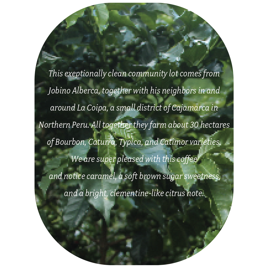 La Coipa 1.19.26_La Coipa Thumbnail Large Oval 3.png