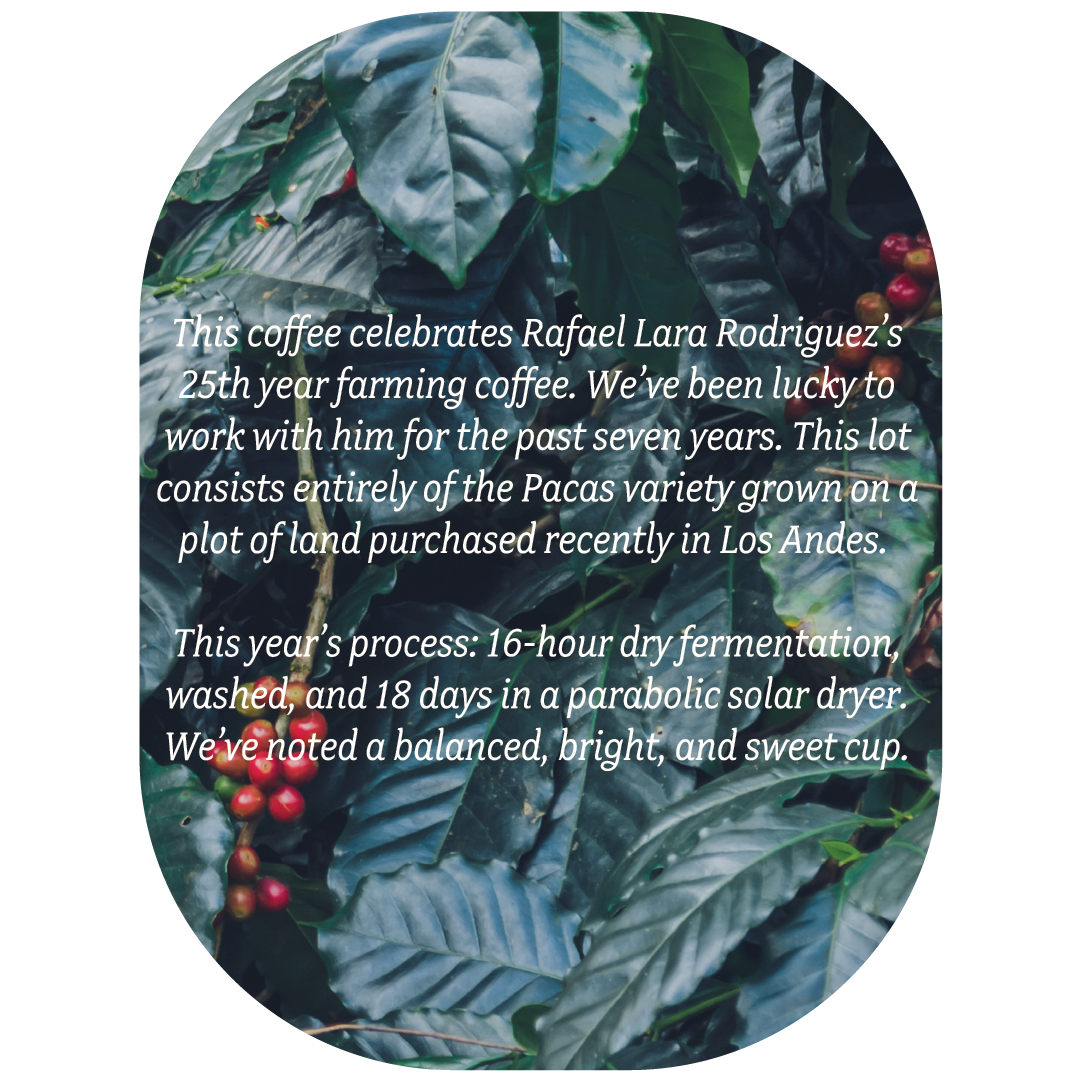 '26 Labels 1_13_26_La Porra Thumbnail p.2.png