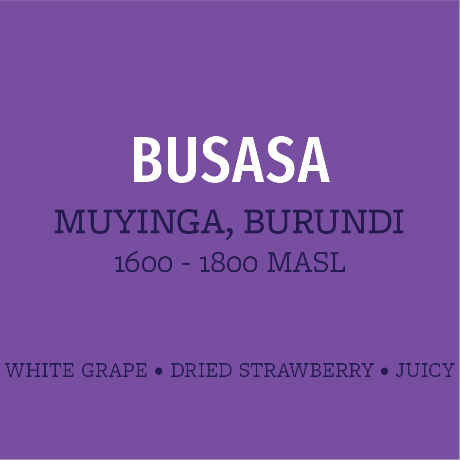 busasa web image.png