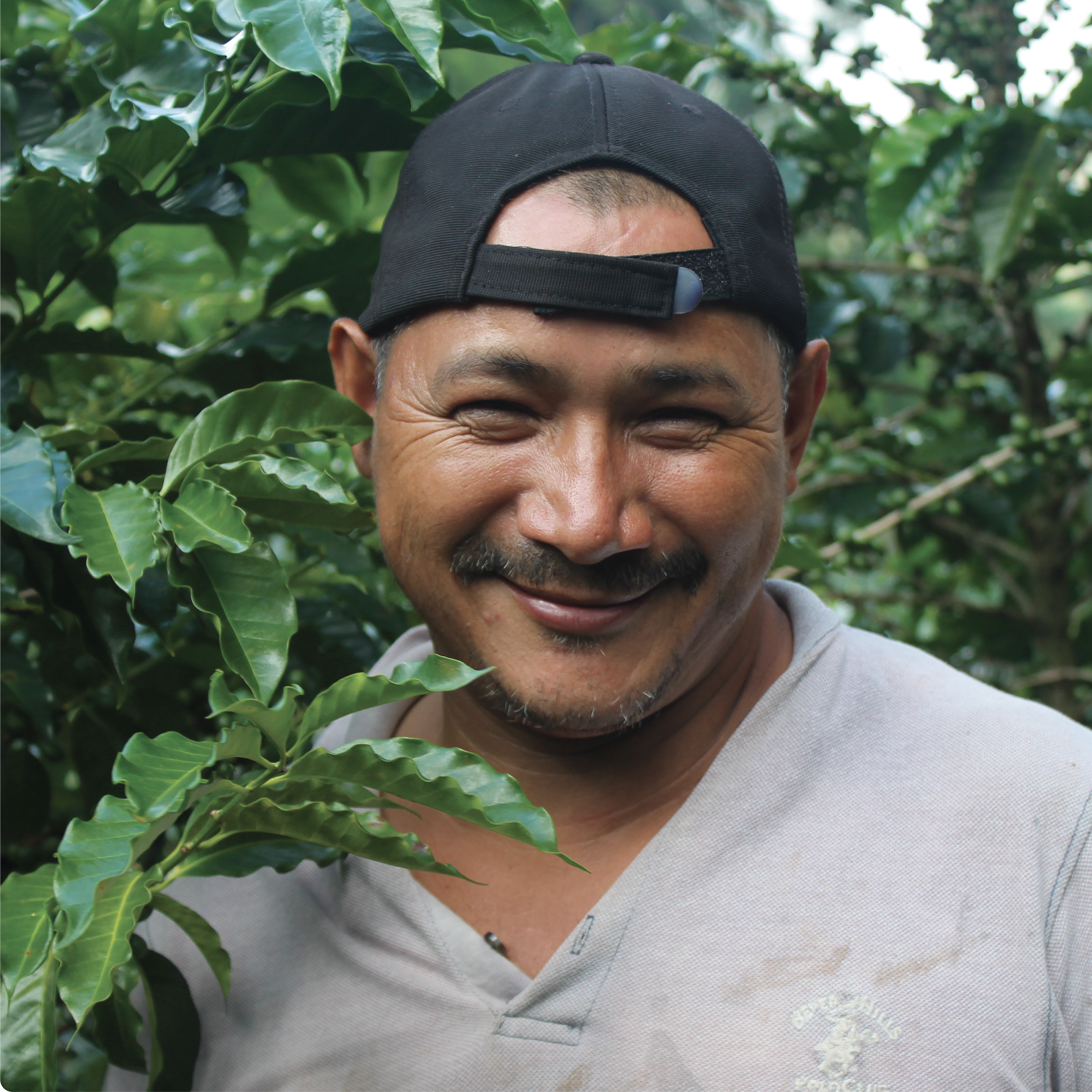 La Porra _La Porra Thumbnail 2.png