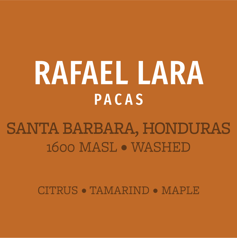 rafael lara web image.png
