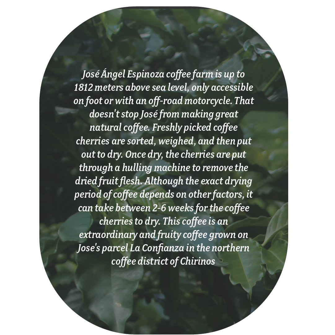 La Confianza Thumbnail Cover copy_5.png