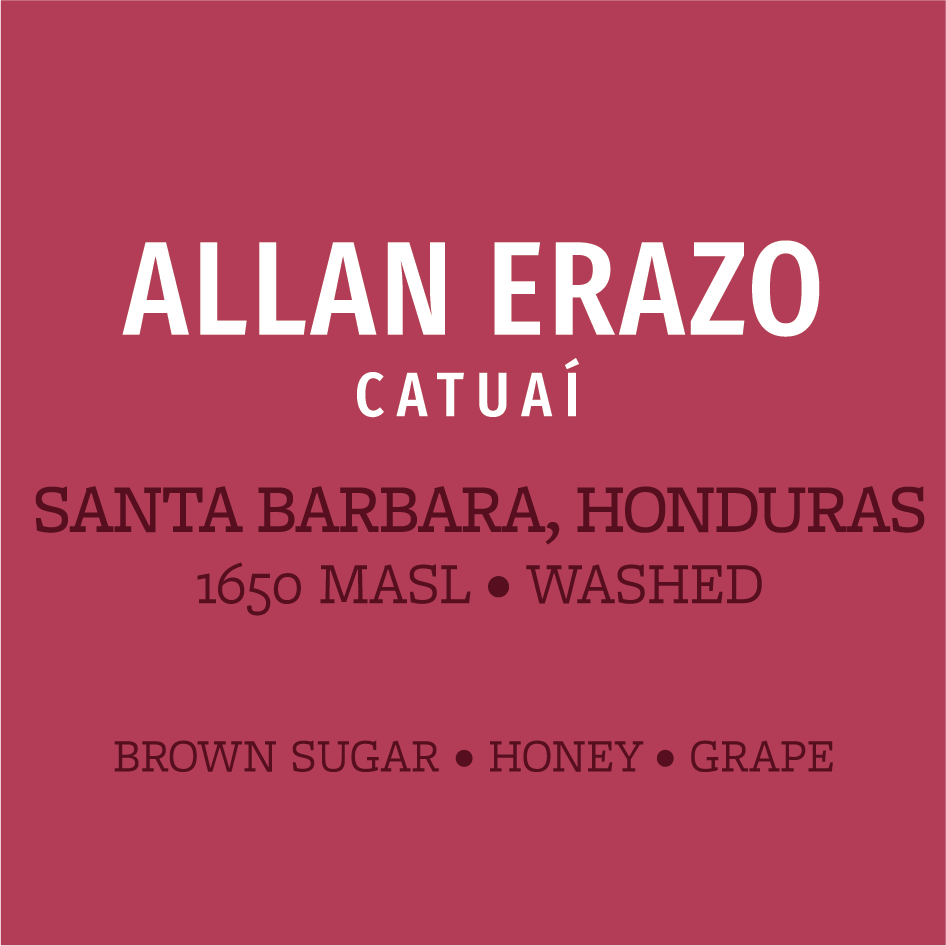 allan erazo web image.png