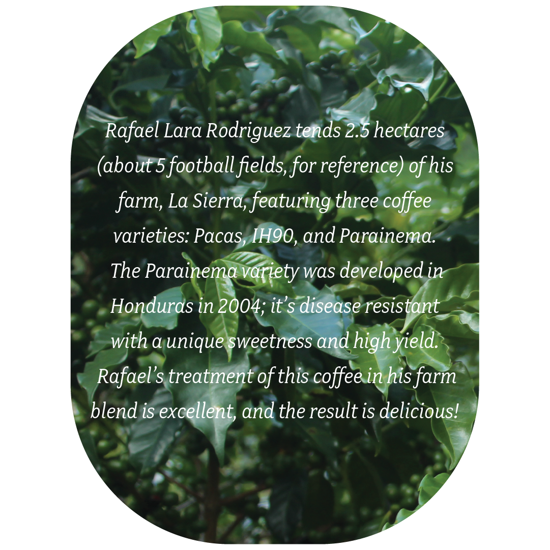 La SIRRA Thumbnail Oval 3.png