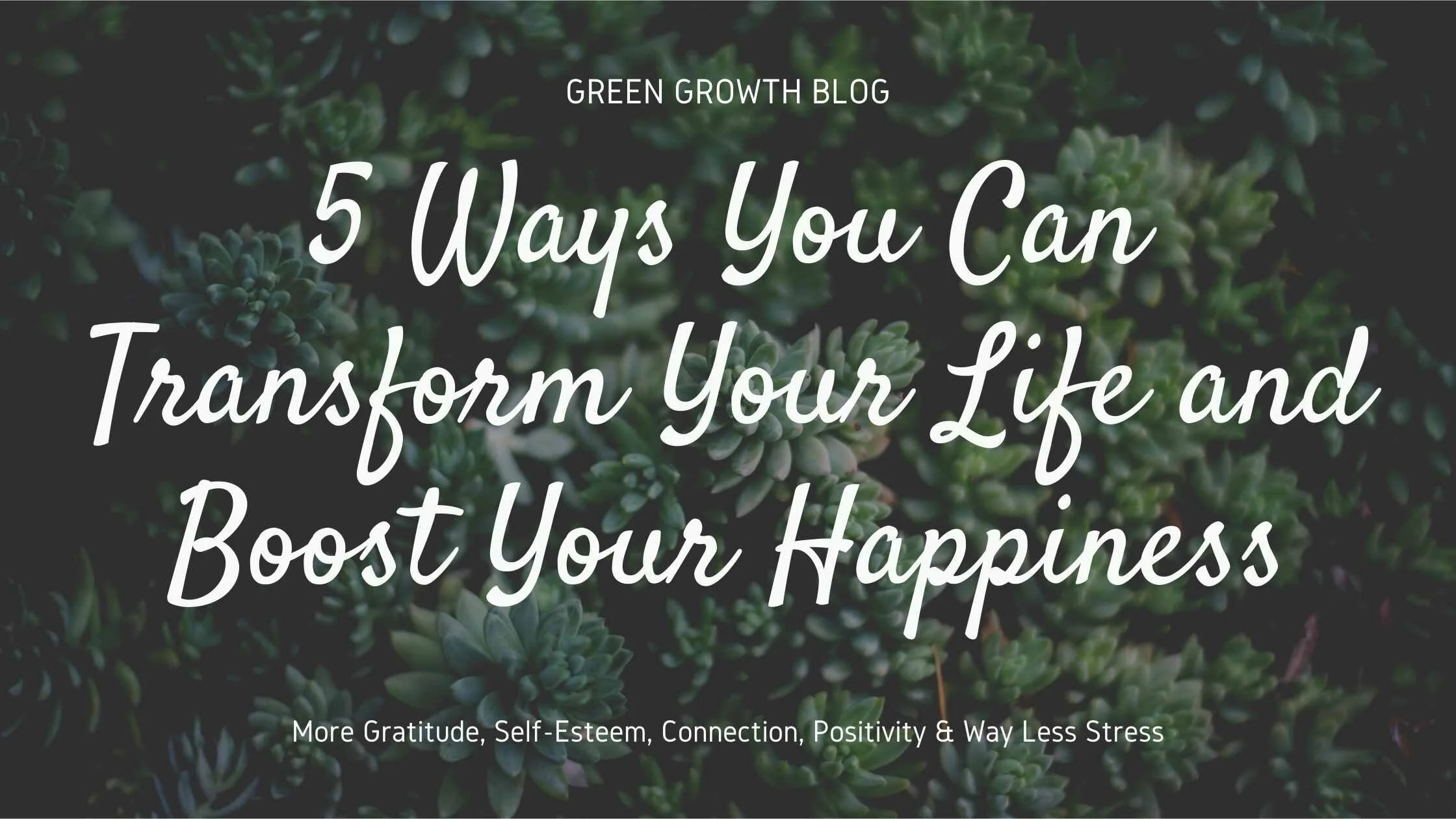 5 ways to transform your life.jpg