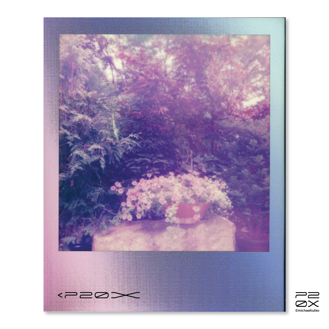 P20X_IG Post_Post12-06.png