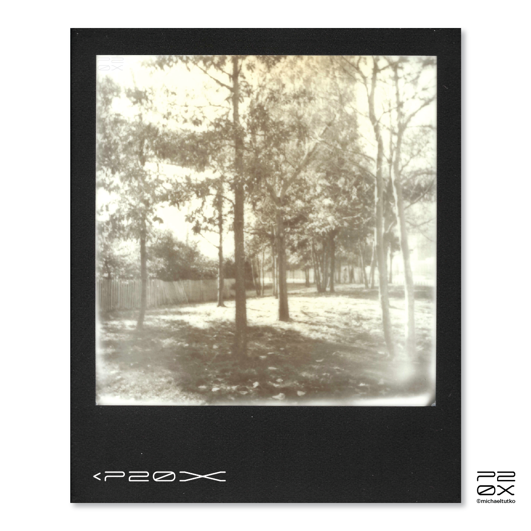 P20X_IG Post_Post5-06.png