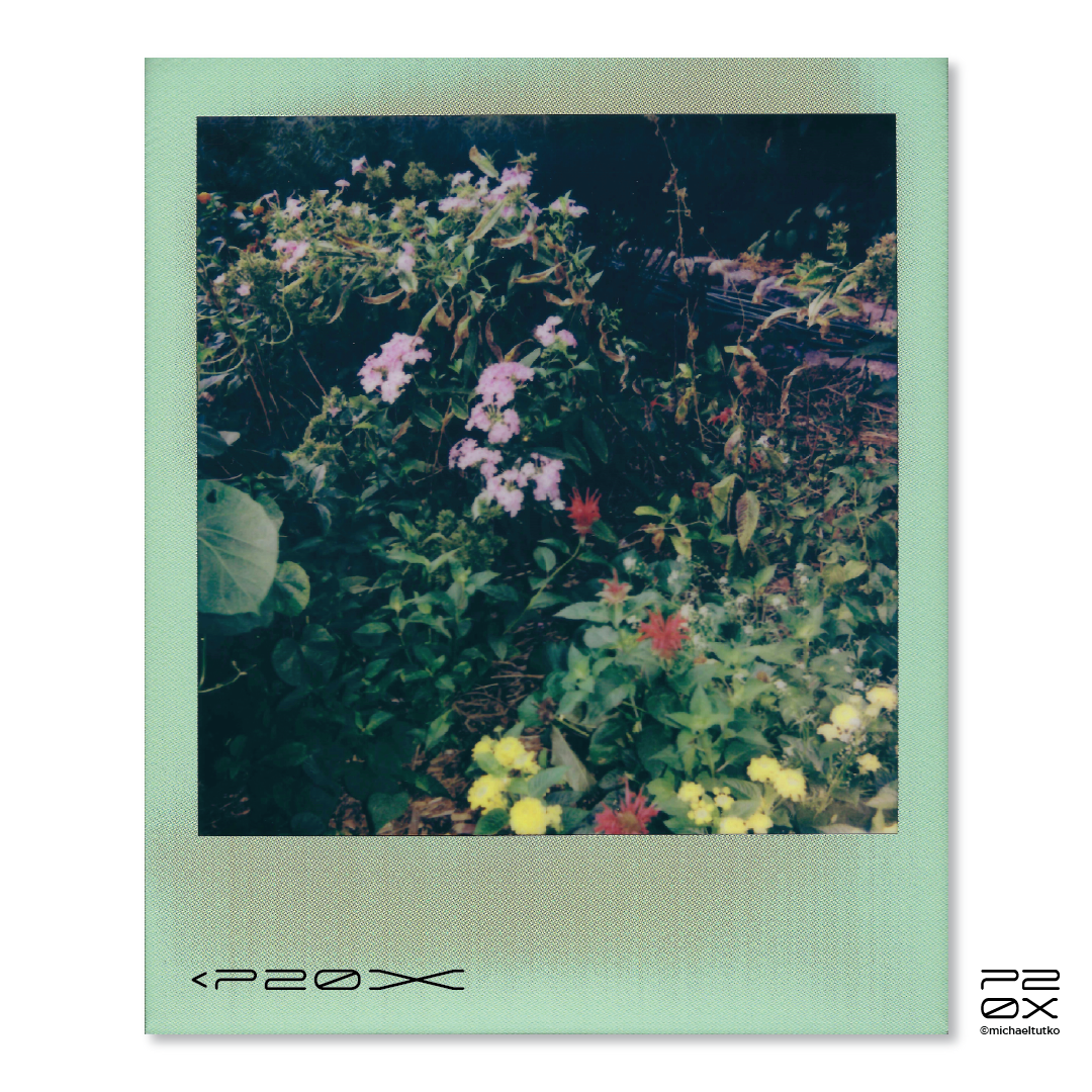 P20X_IG Post_Post10-01.png