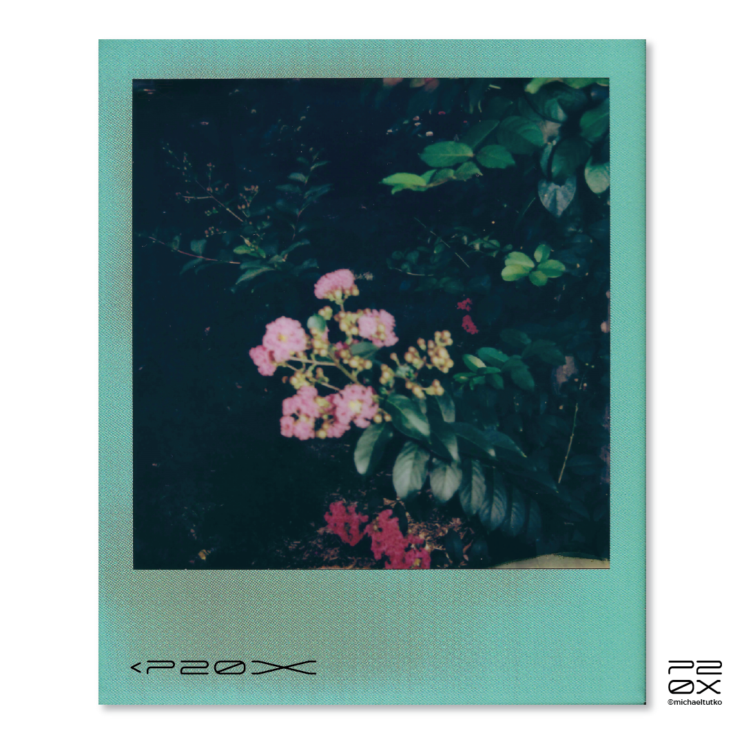 P20X_IG Post_Post10-05.png