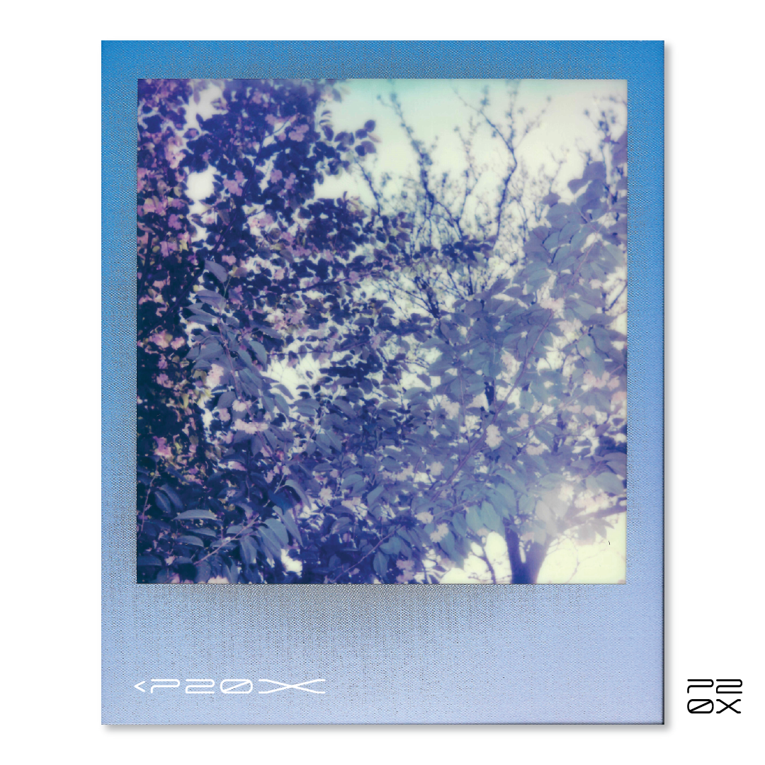 P20X_IG Post_Post14-08.png