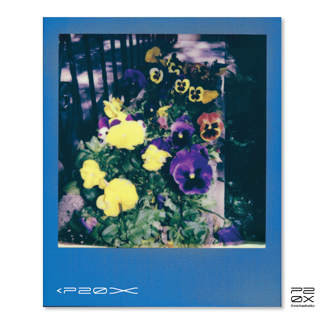 P20X_IG Post_Post6-05.png