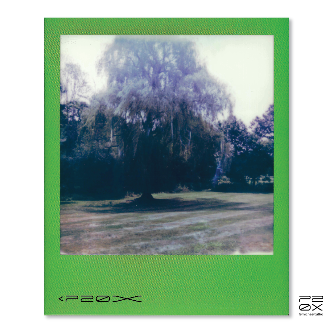 P20X_IG Post_Post16-04.png