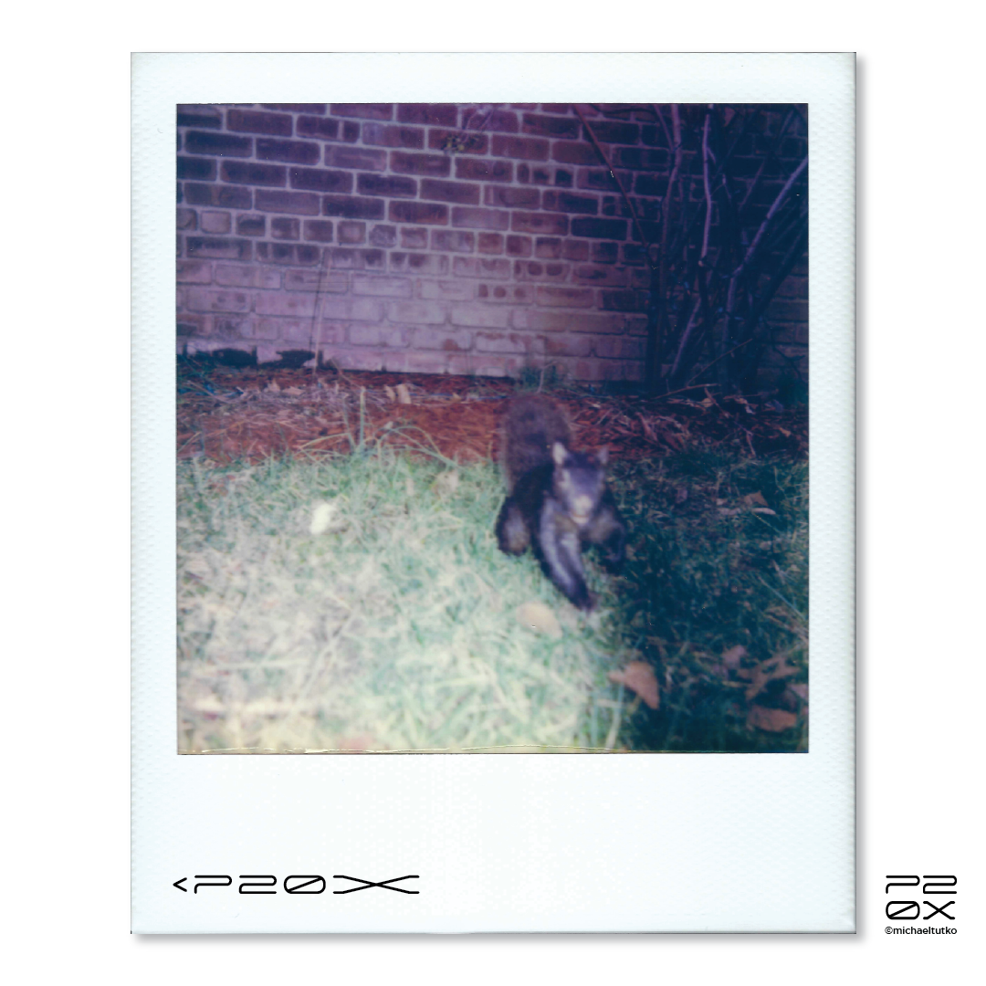 P20X_IG Post_Post4-07.png