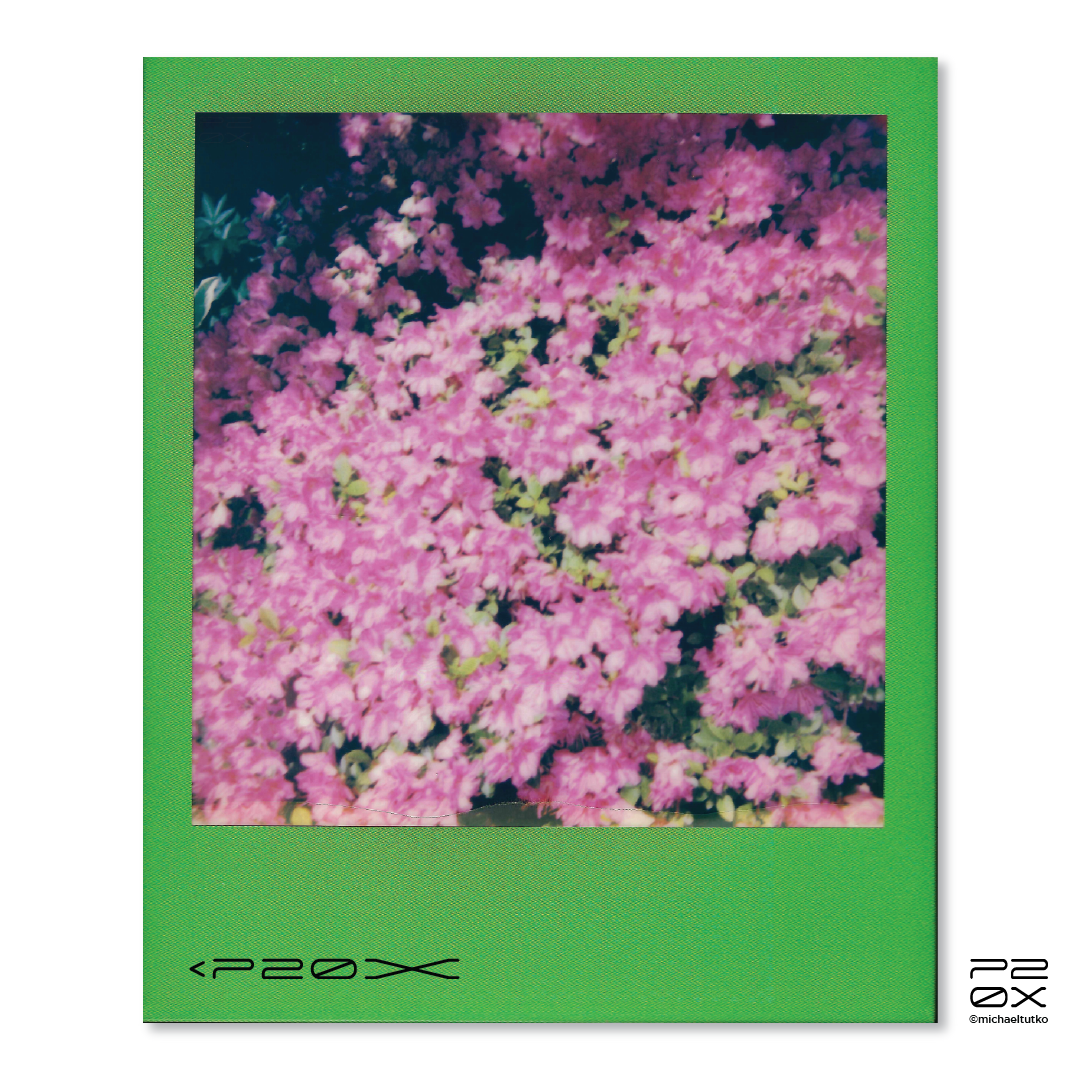 P20X_IG Post_Post6-04.png