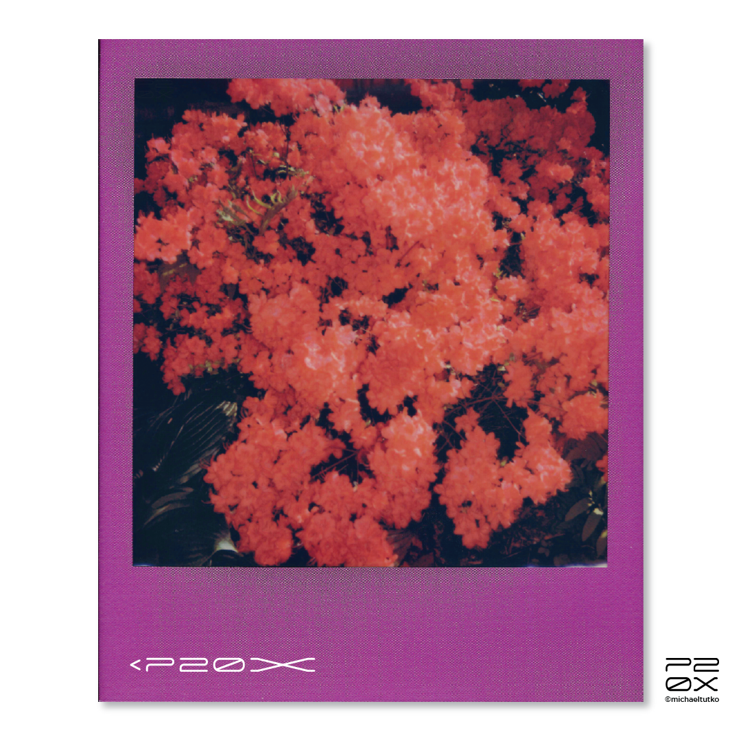 P20X_IG Post_Post6-01.png