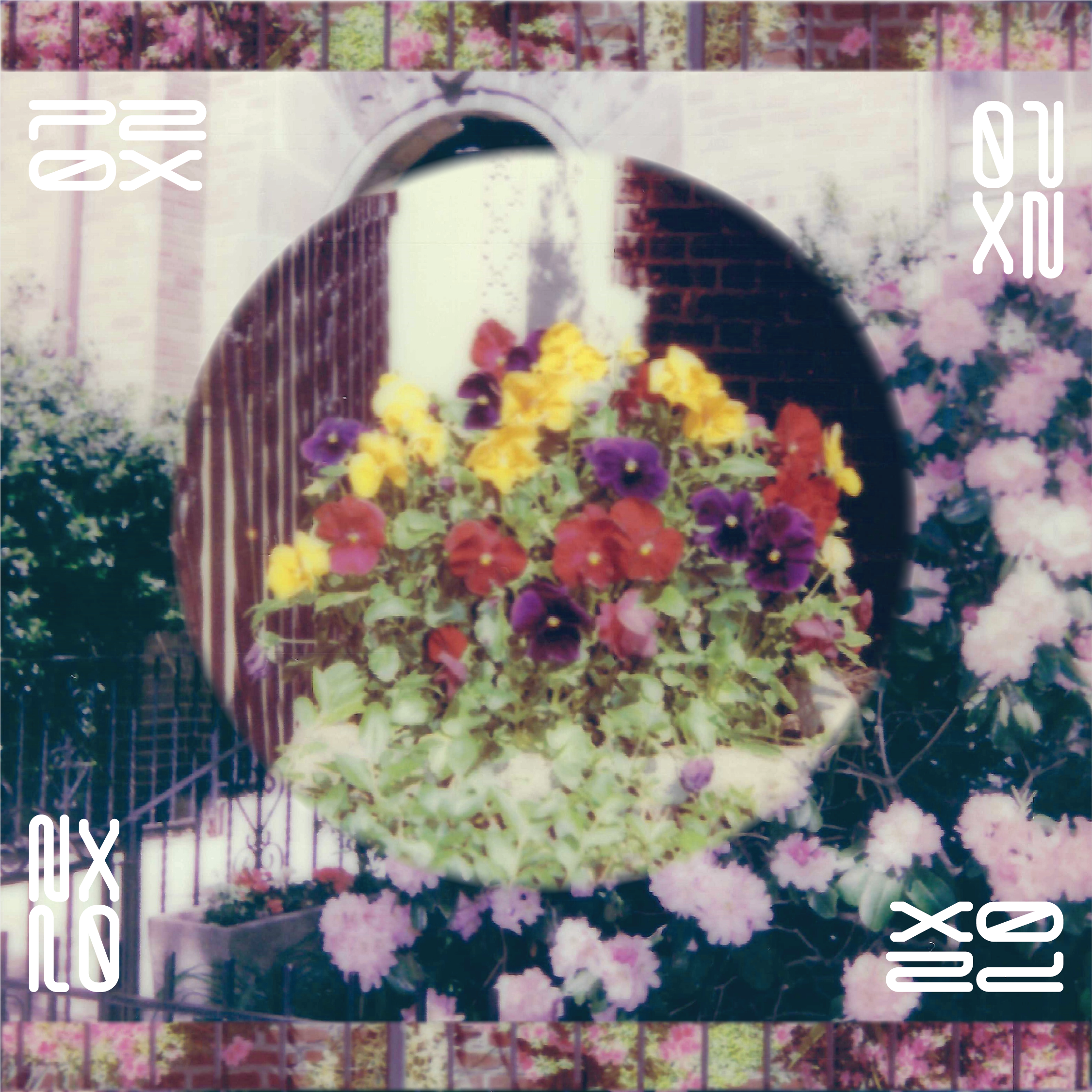 P20X_IG Post_Post2-09.png