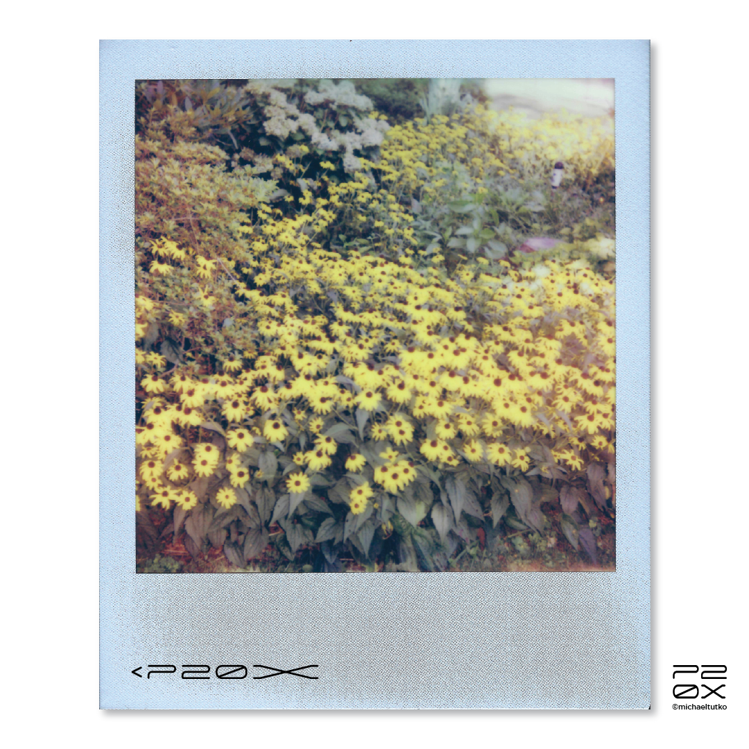 P20X_IG Post_Post11-03.png