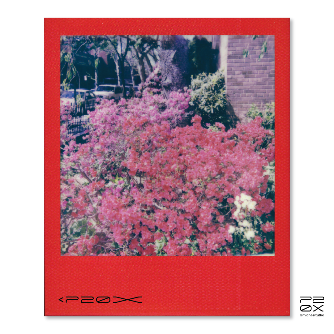 P20X_IG Post_Post6-02.png