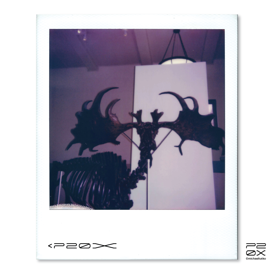 P20X_IG Post_Post16-05.png