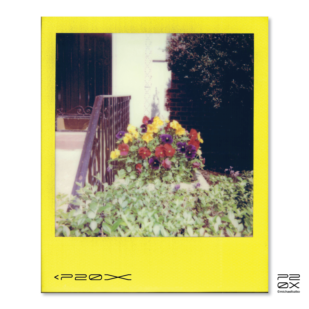 P20X_IG Post_Post2-04.png