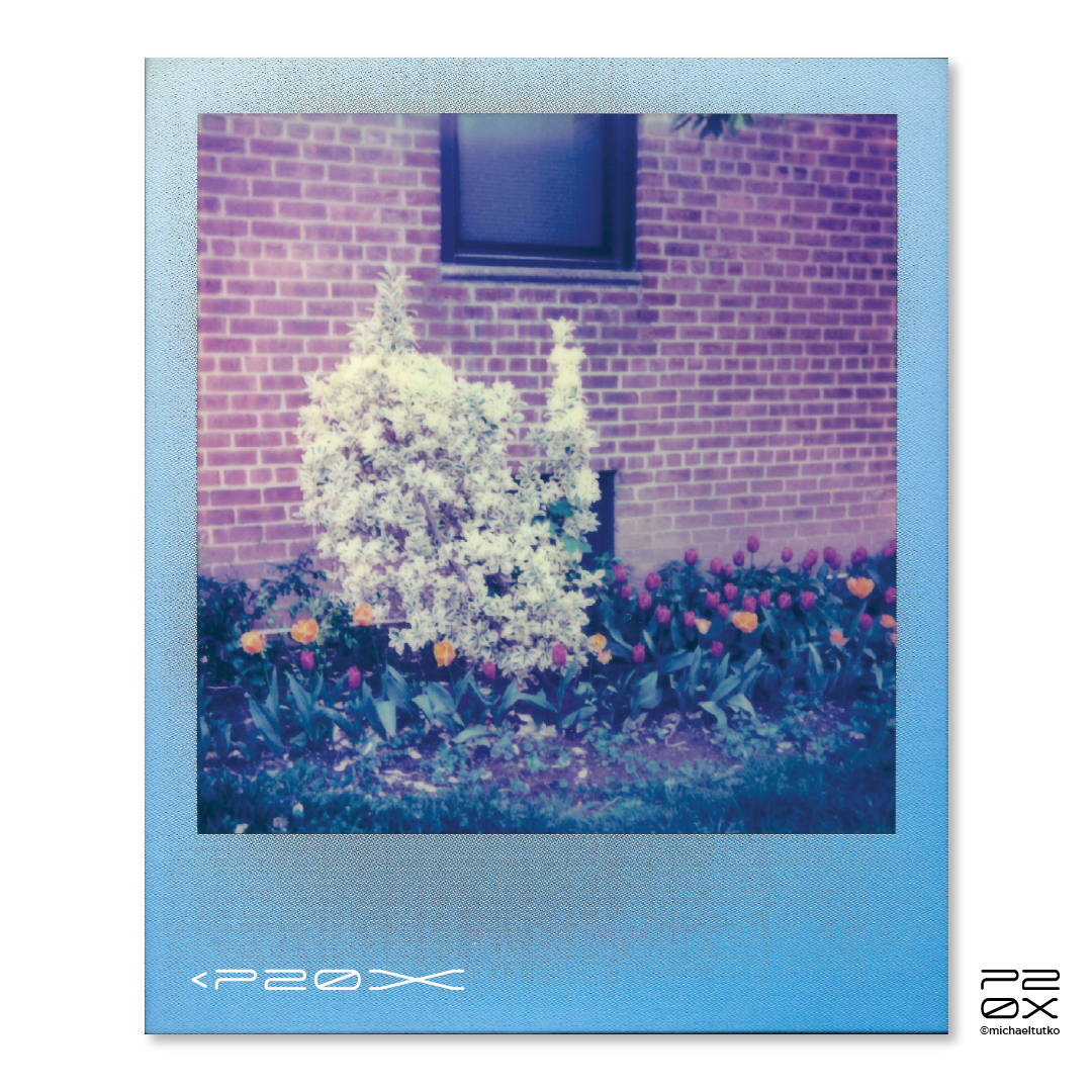 P20X_IG Post_Post14-05.png