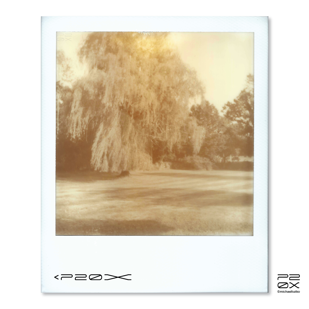 P20X_IG Post_Post15-03.png