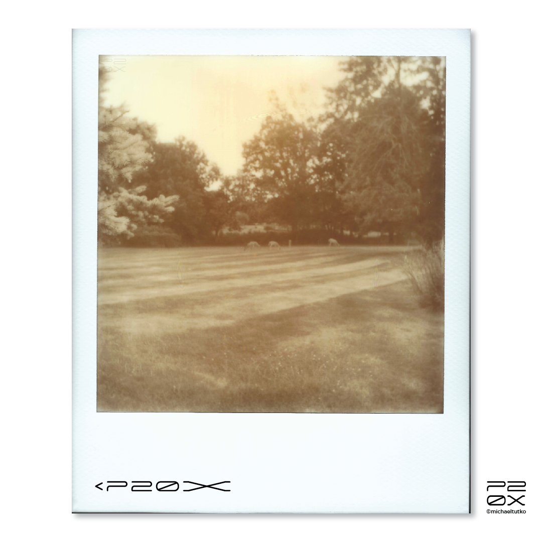 P20X_IG Post_Post15-04.png