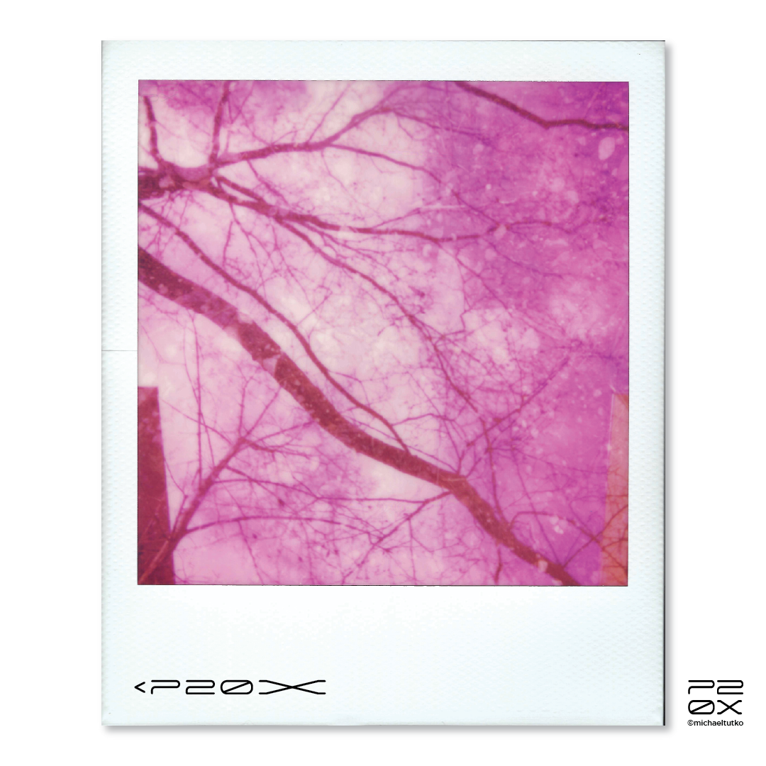 P20X_IG Post_Post4-05.png