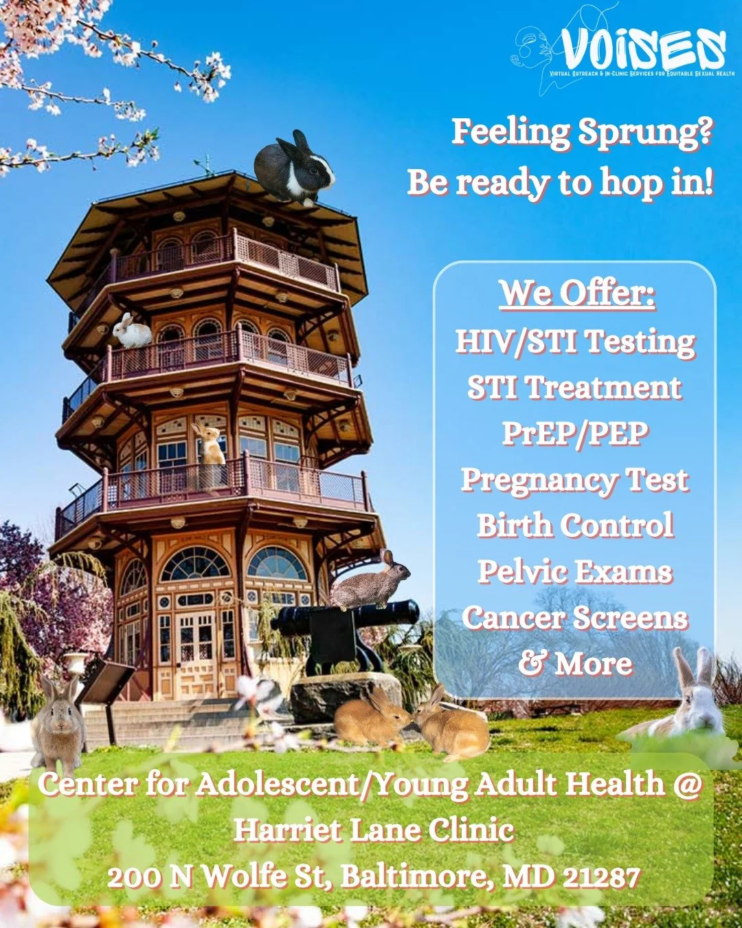 Get everything you need before you "hold auditions" for the Spring/Summer

#youthhealth #STIprevention #bmorehealth #PrEP #menshealth #womenshealth