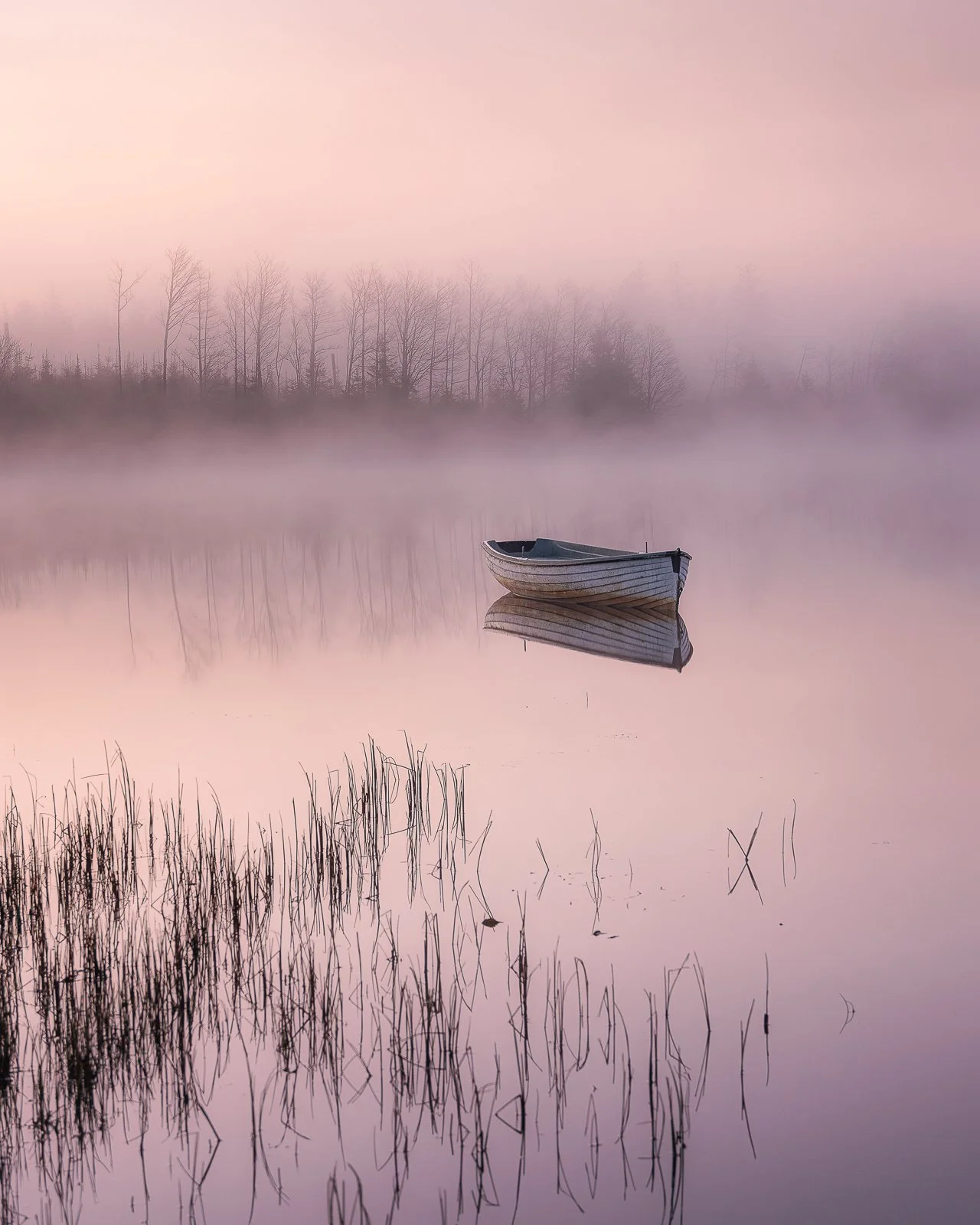 Reeds & Rowboat(web).jpg